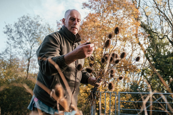 Kenny’s Top Foraging Tips